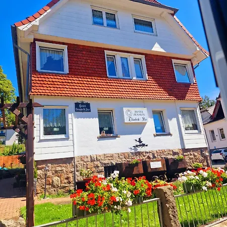 Elisabeth Ilse Hotel Braunlage