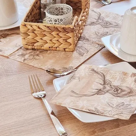 Elisabeth Ilse מלון