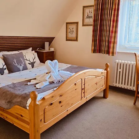 Elisabeth Ilse בראונלאגה