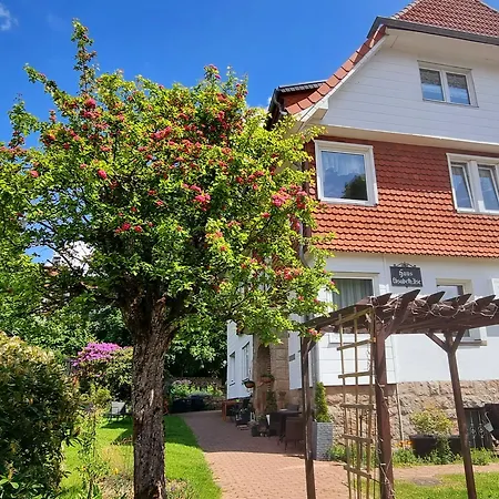 Elisabeth Ilse Hotel Braunlage