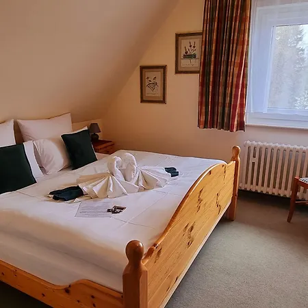 Elisabeth Ilse בראונלאגה